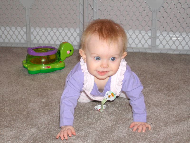 Gratuitous cuteness shot
