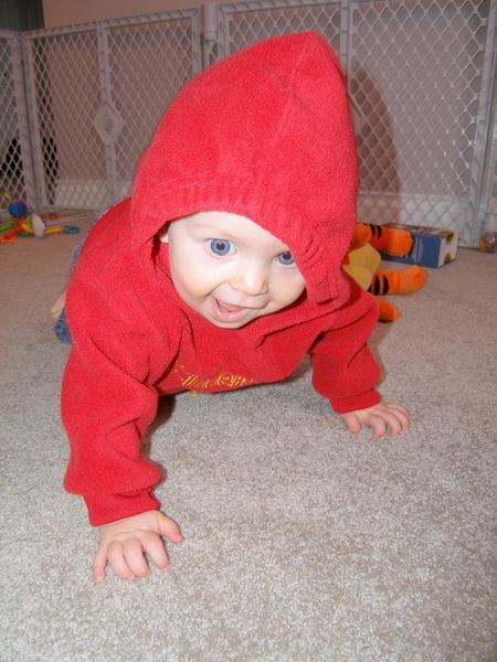 Gratuitous cuteness shot
