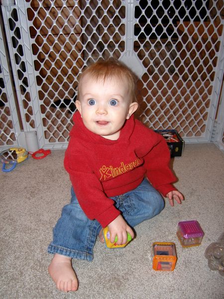 Gratuitous cuteness shot
