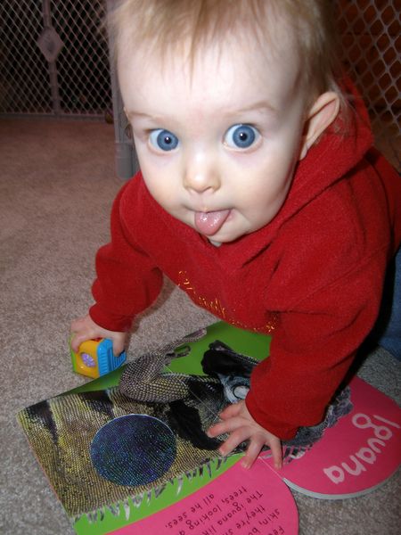 Gratuitous cuteness shot
