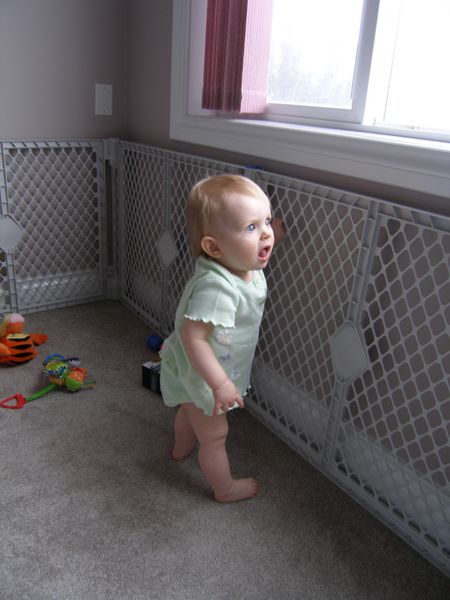 Curiously looking out the window
