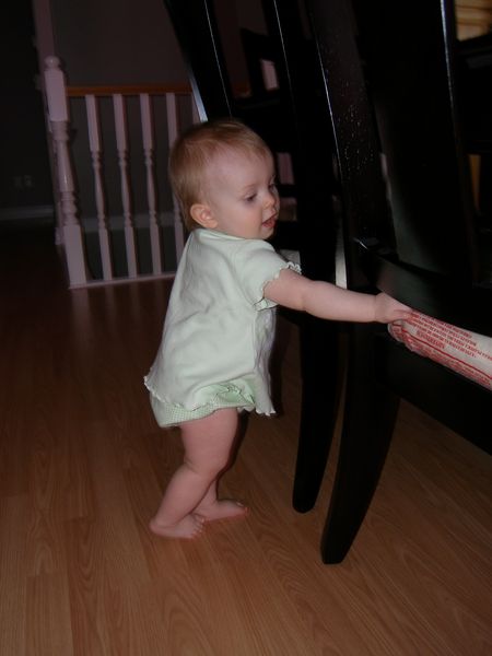 Playing with the dining room chairs
