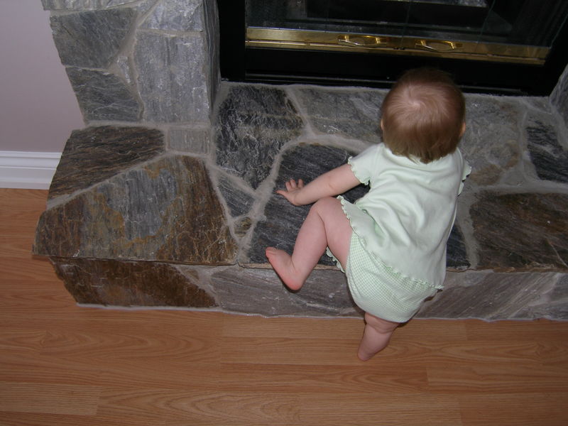 Naughty Maddi climbing the hearth
