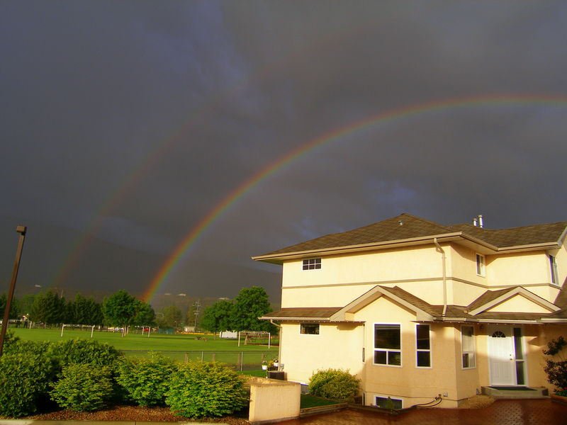 Okanagan rainbow
