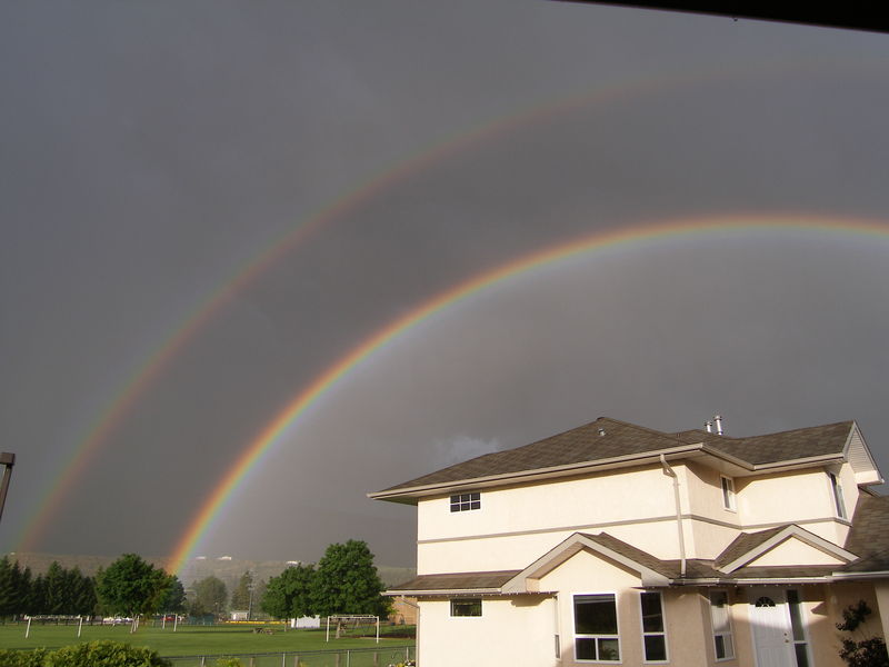 Okanagan rainbow
