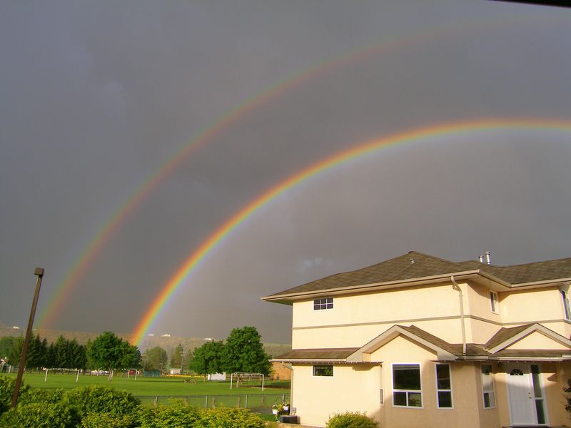 Okanagan rainbow
