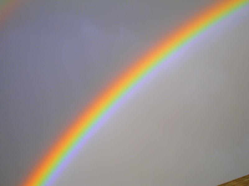 Okanagan rainbow

