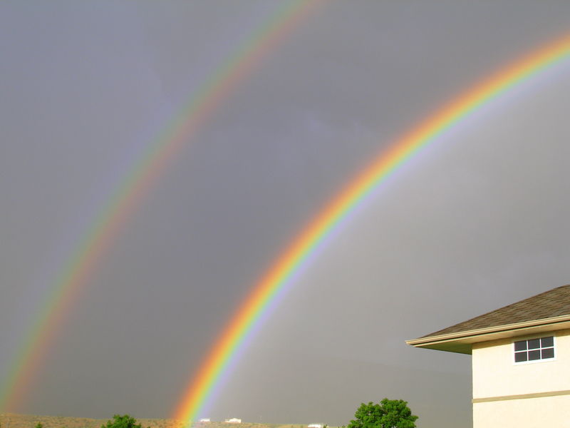 Okanagan rainbow
