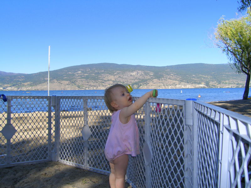 A keen observer
