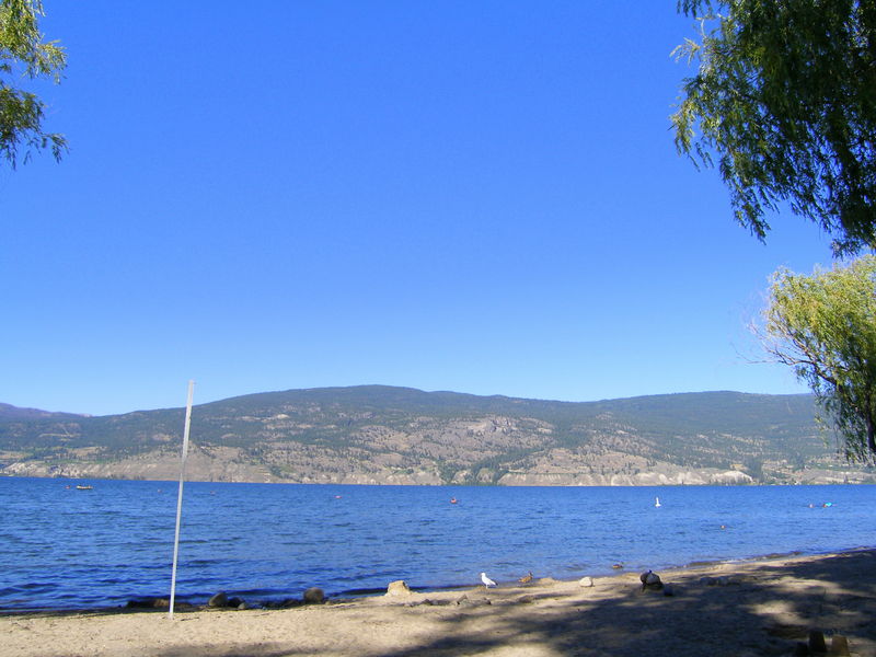 A beach in Summerland
