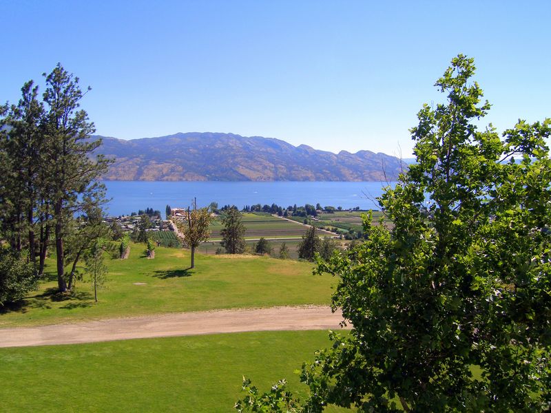 Keywords: Mission Hill Estate Winery
