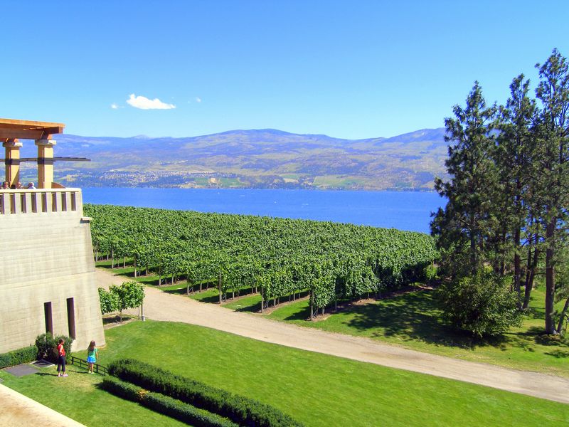 Keywords: Mission Hill Estate Winery