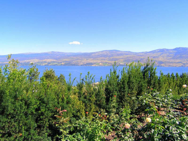 Keywords: Mission Hill Estate Winery