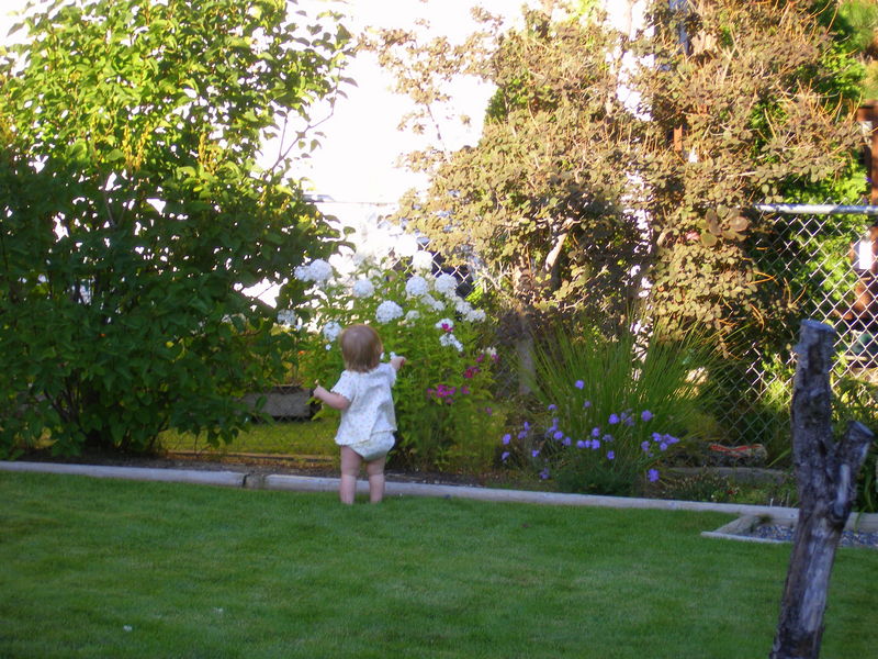 Maddi really loves those white flowers
