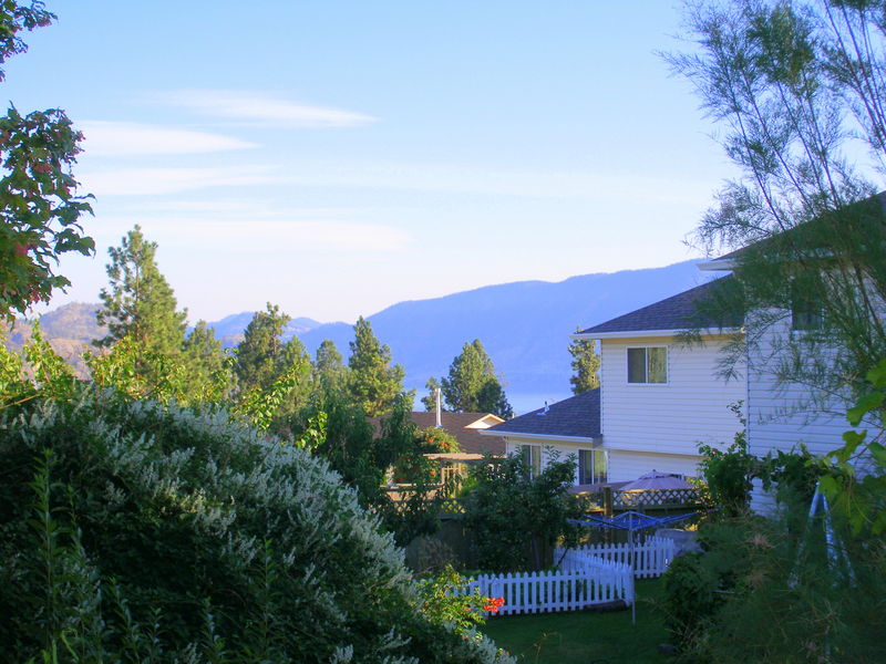 Our only view of the lake from our current house
