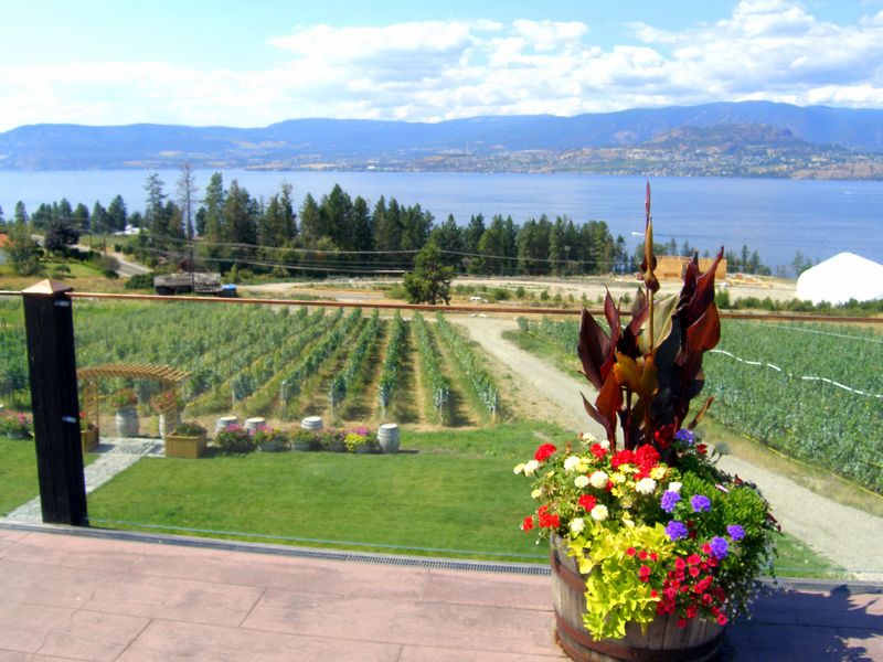 Keywords: Summerhill Pyramid Winery