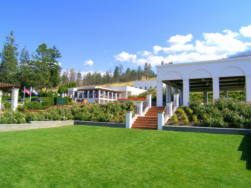 CedarCreek Estate Winery
