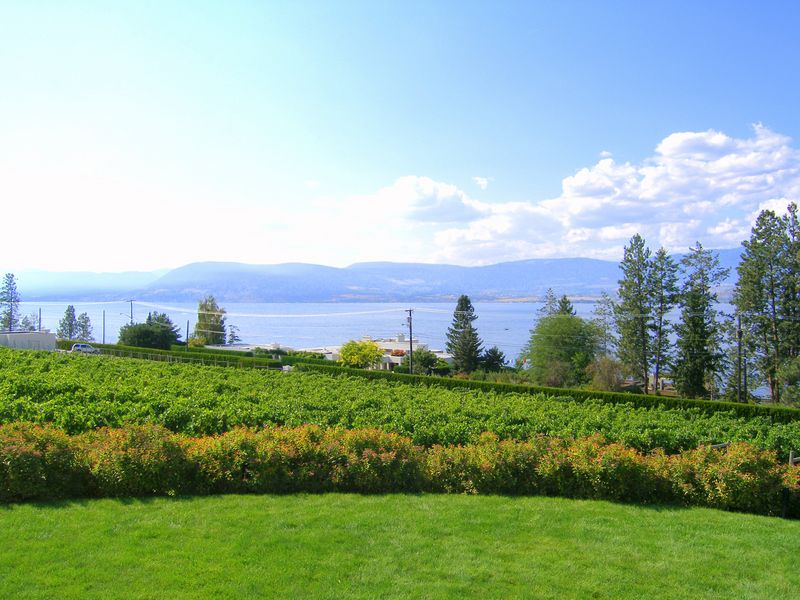 CedarCreek Estate Winery
