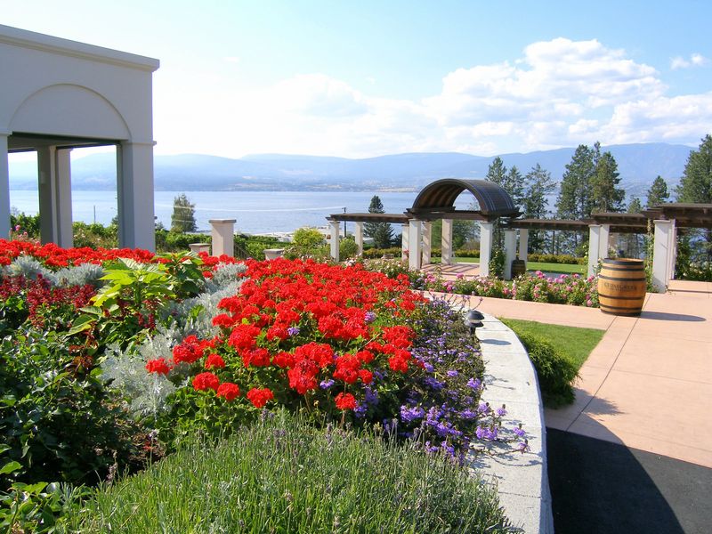 CedarCreek Estate Winery
