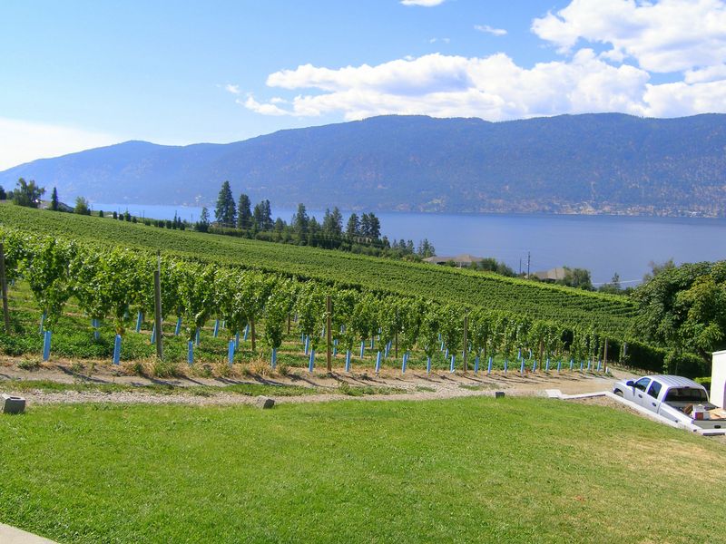 Keywords: Gray Monk Estate Winery