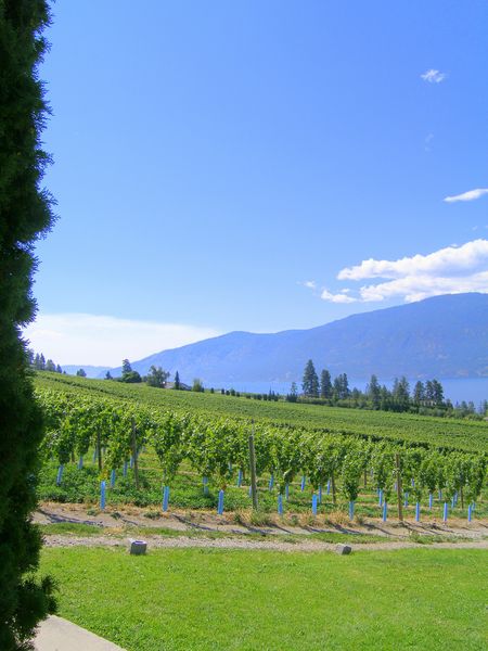 Keywords: Gray Monk Estate Winery