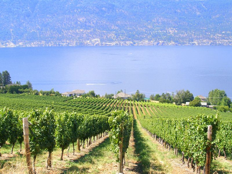 Keywords: Gray Monk Estate Winery