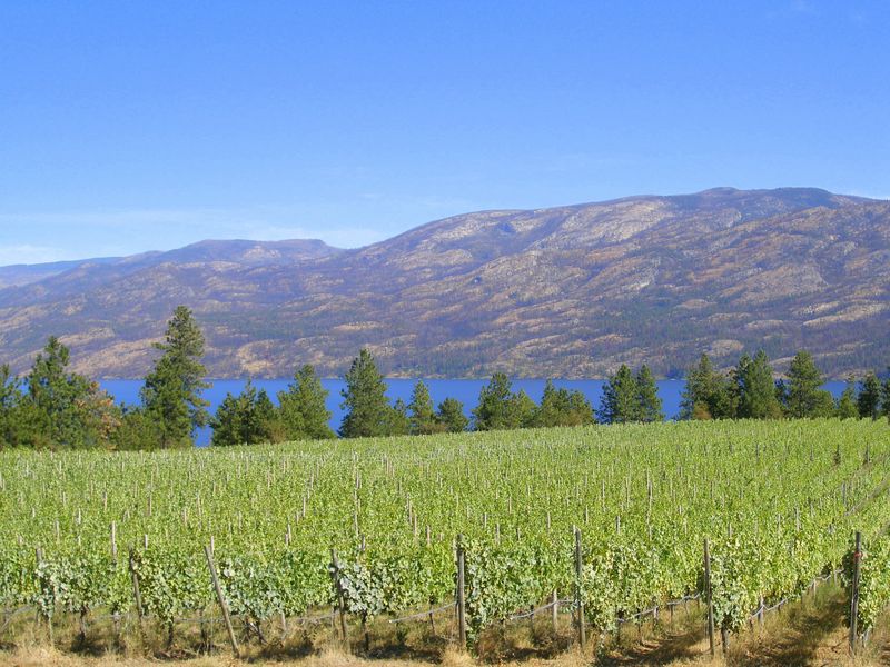 Keywords: Hainle Vineyards Estate Winery