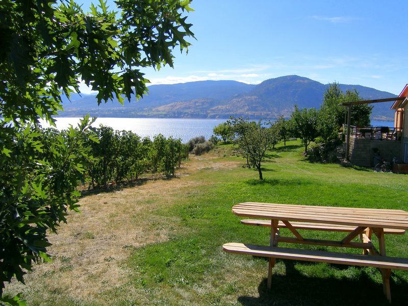 Keywords: Poplar Grove Winery