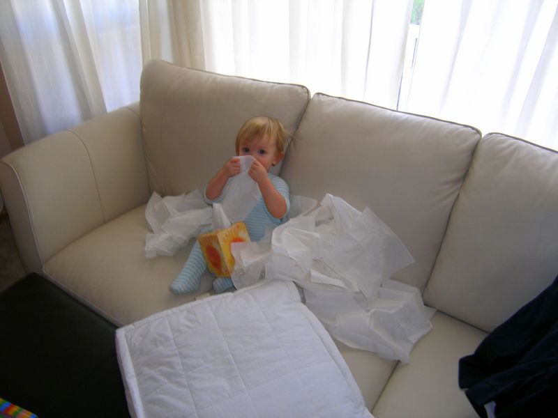 Caught in the act!

