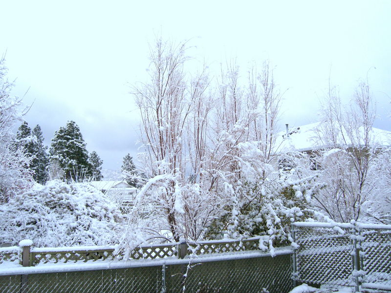 November snow
