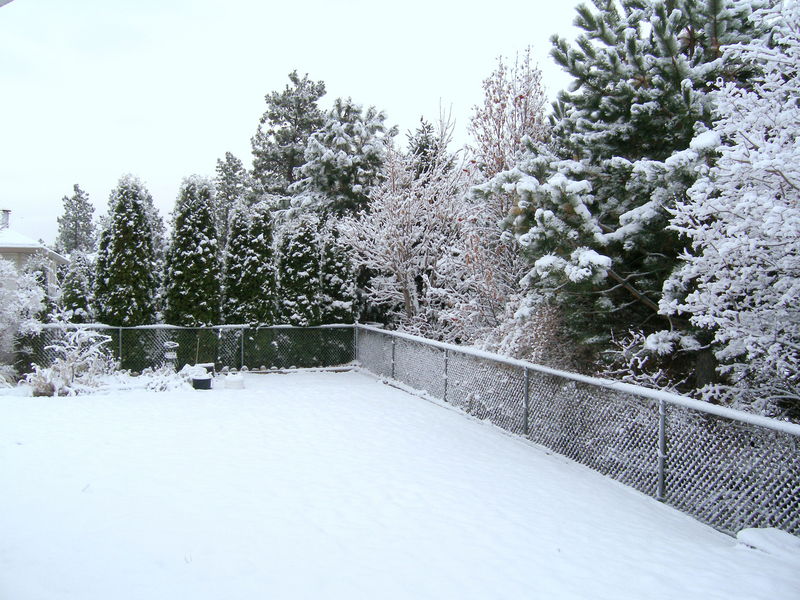 November snow
