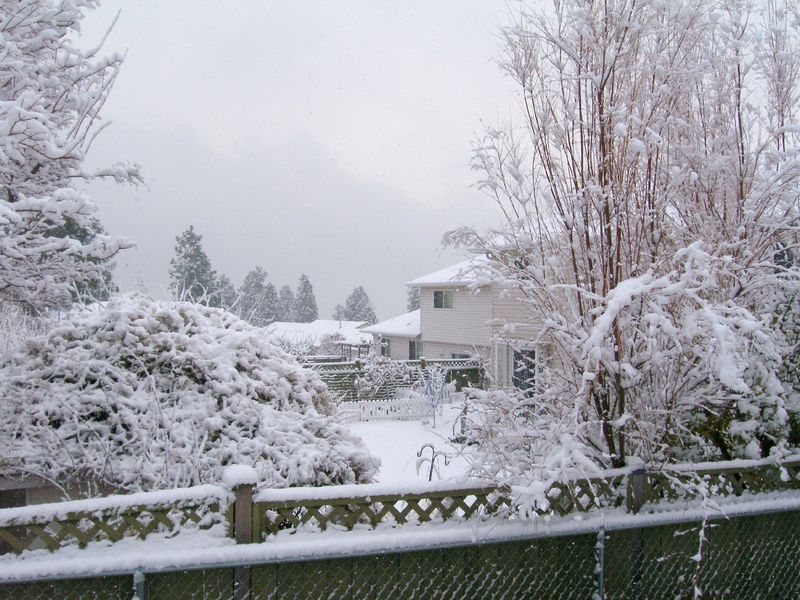 November snow
