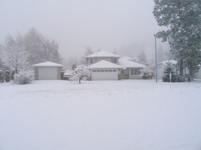 Snowy day
