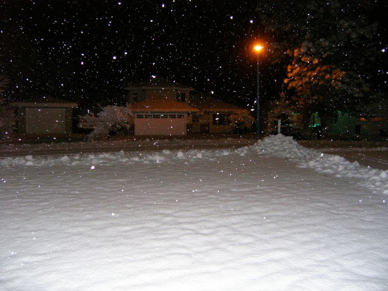 Snowy night
