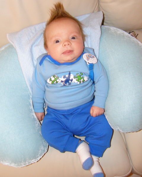 Gratuitous cuteness shot
