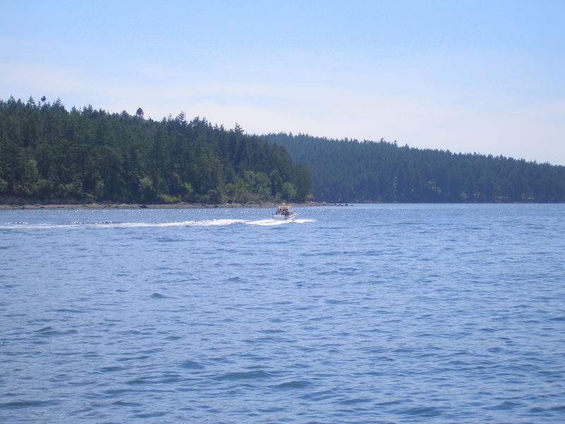 A boat just outside the Anacortes Ferry departure area
Keywords: Seattle, Victoria, Anacortes ferry