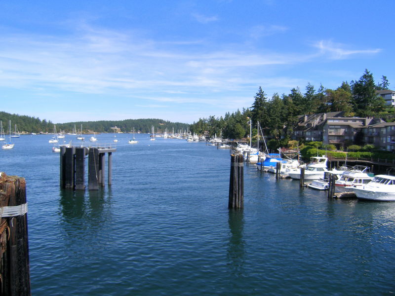 Friday Harbor, San Juan Island
Keywords: Seattle, Victoria, Anacortes ferry, Friday Harbor, San Juan Island