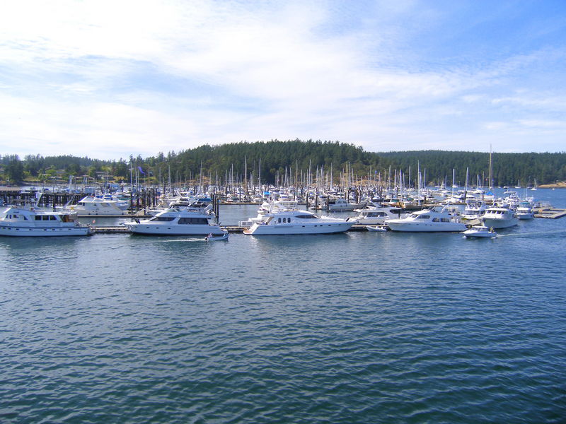 Some nice yachts
Keywords: Seattle, Victoria, Anacortes ferry, Friday Harbor, San Juan Island