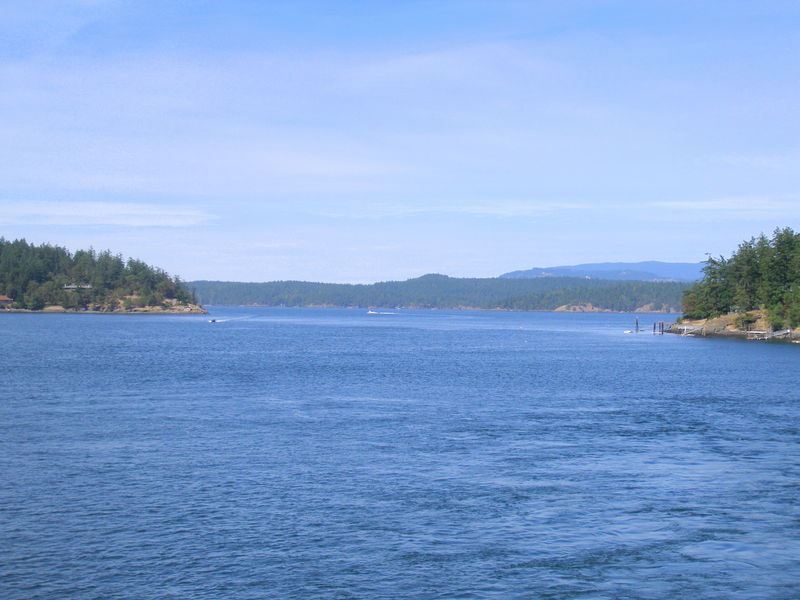 Looking out from Friday Harbor
Keywords: Seattle, Victoria, Anacortes ferry, Friday Harbor, San Juan Island
