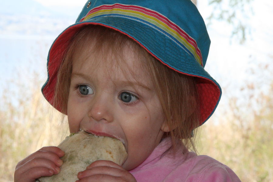 Yummy wrap
