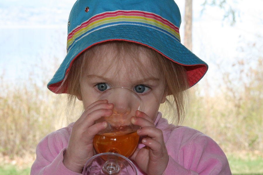 Maddi enjoy a 2008 SunRype Apple Juice vintage
