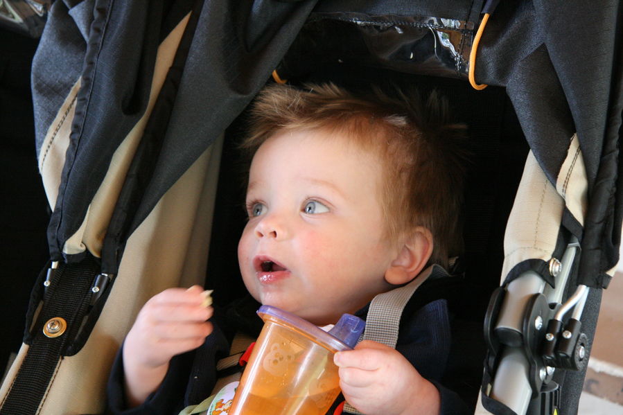 Gratuitous cuteness shot
