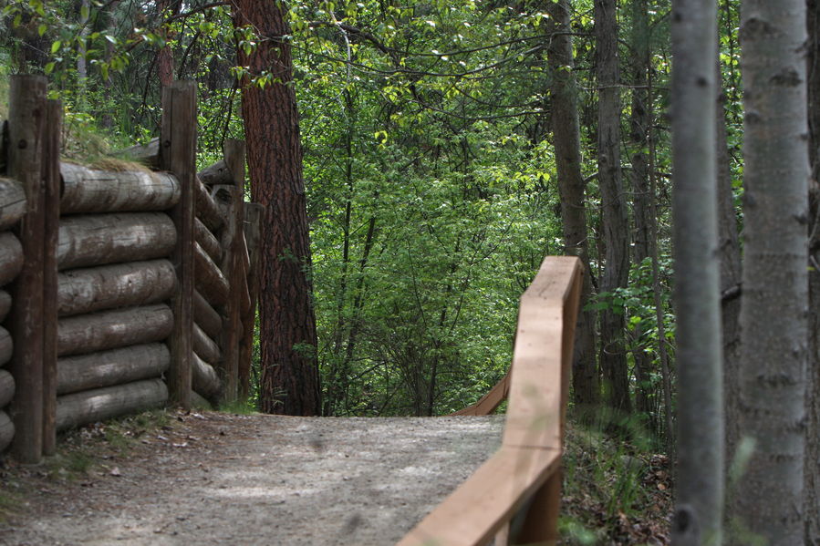A trail in Mission Creek Park
