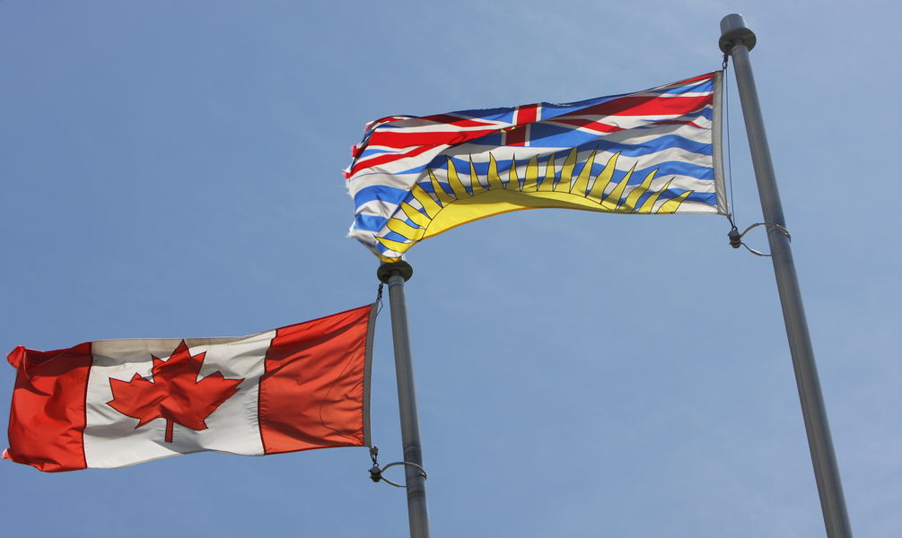 Our flags
