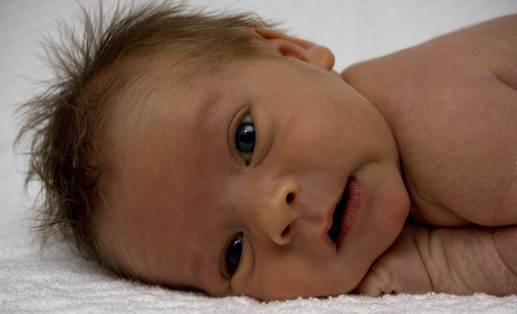 Gratuitous cuteness shot
