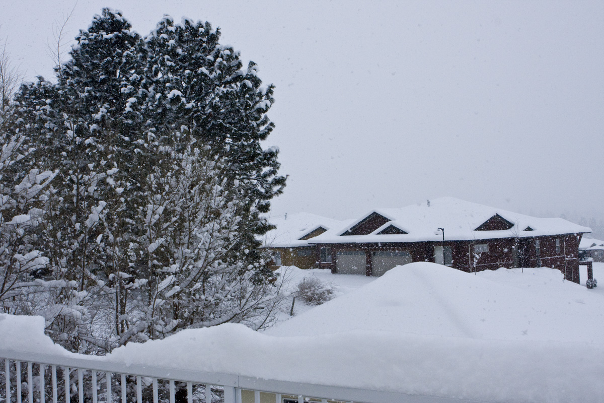 Another foot of new snow
