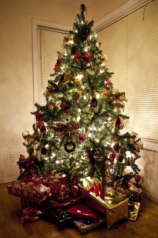 Our Christmas tree

