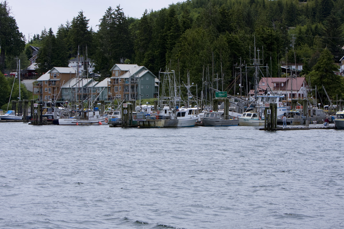 Harbour in Tofino
