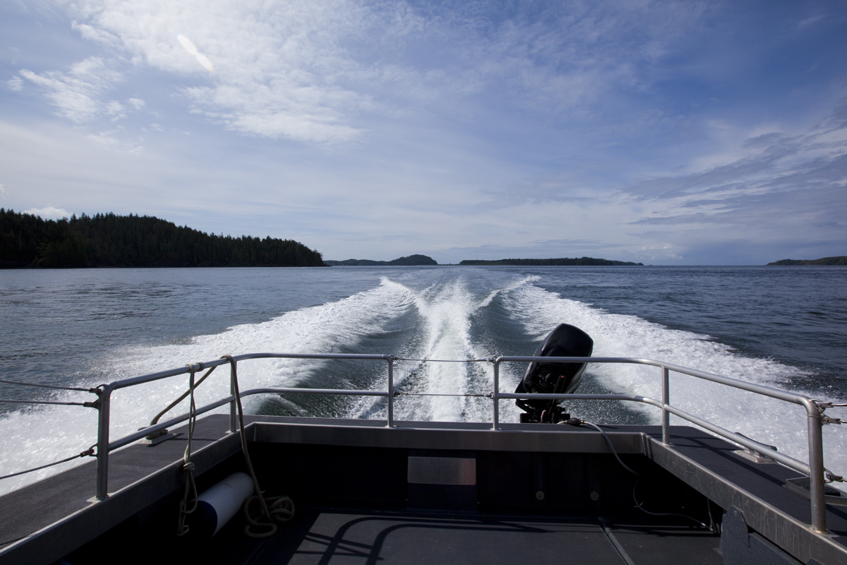 Looking off the back of the whale watching boat

