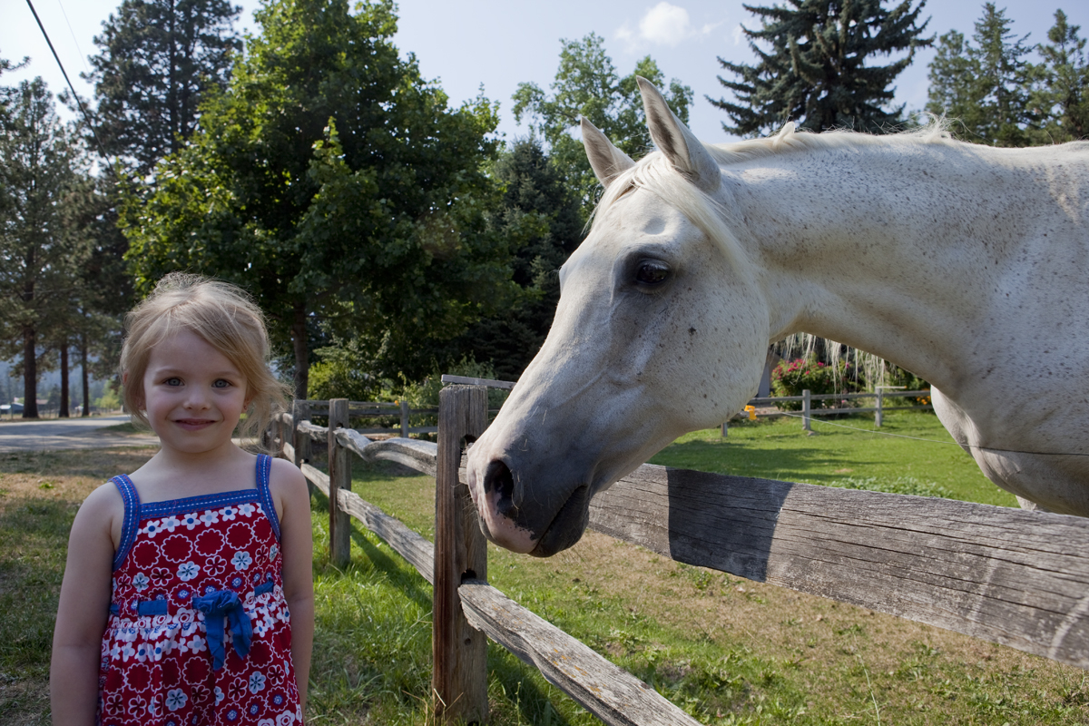 Maddux and White Horse
